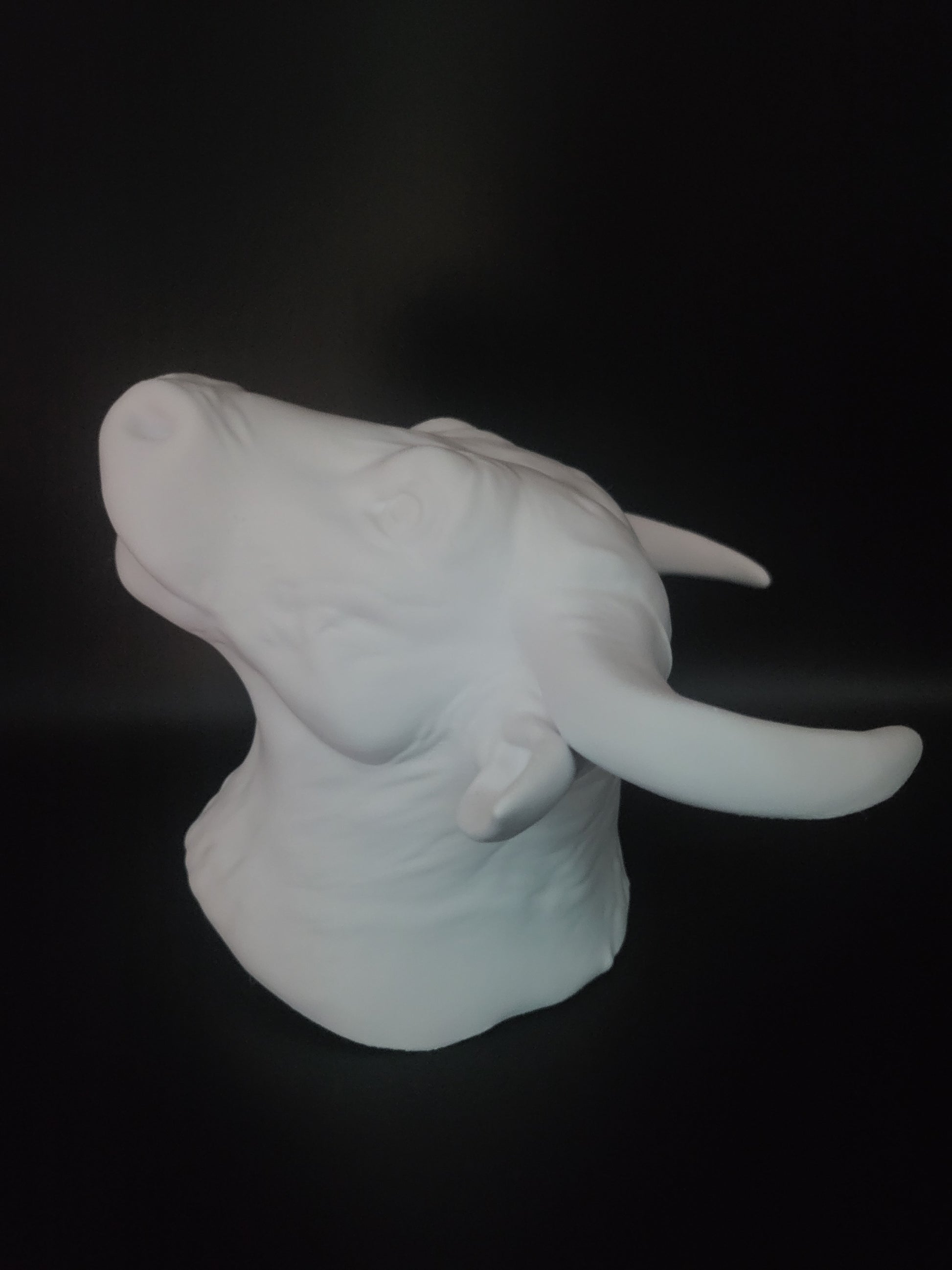 OX