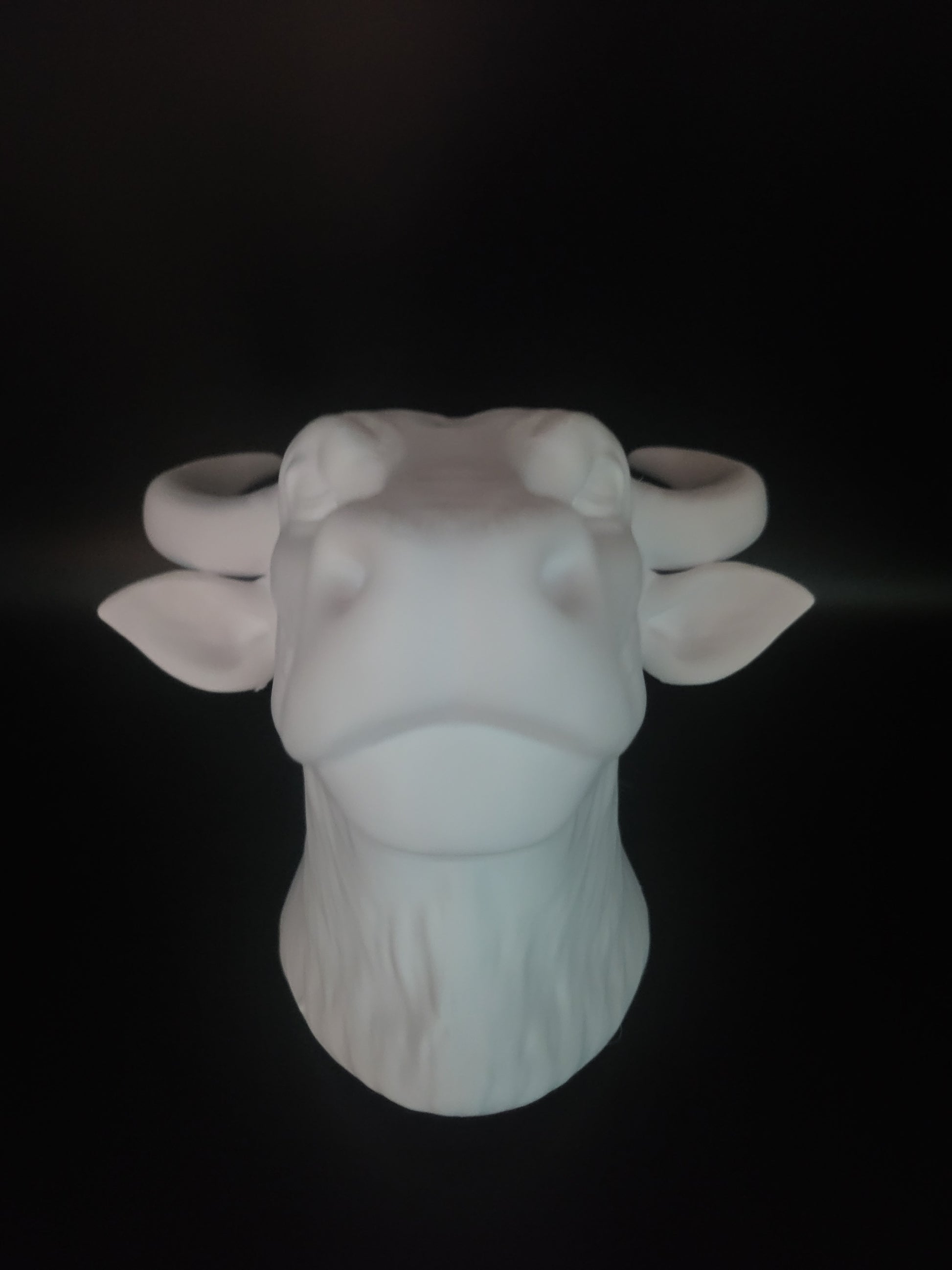 OX