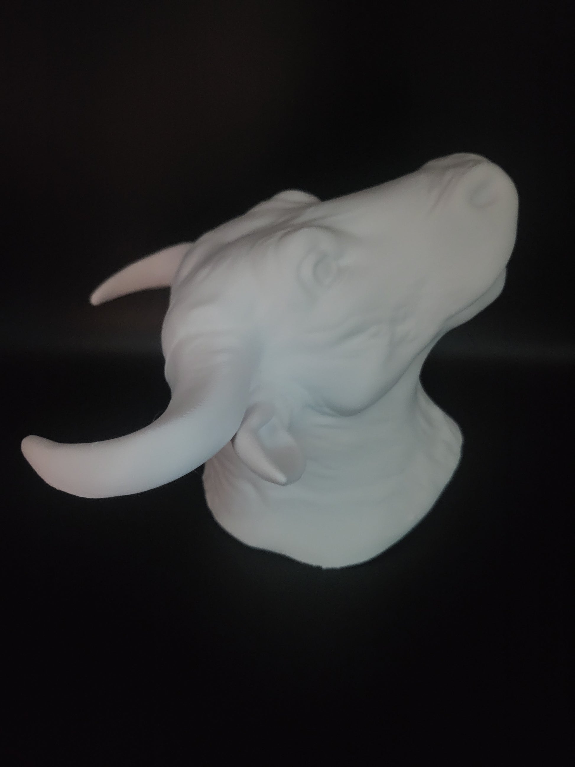 OX