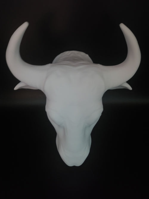 OX