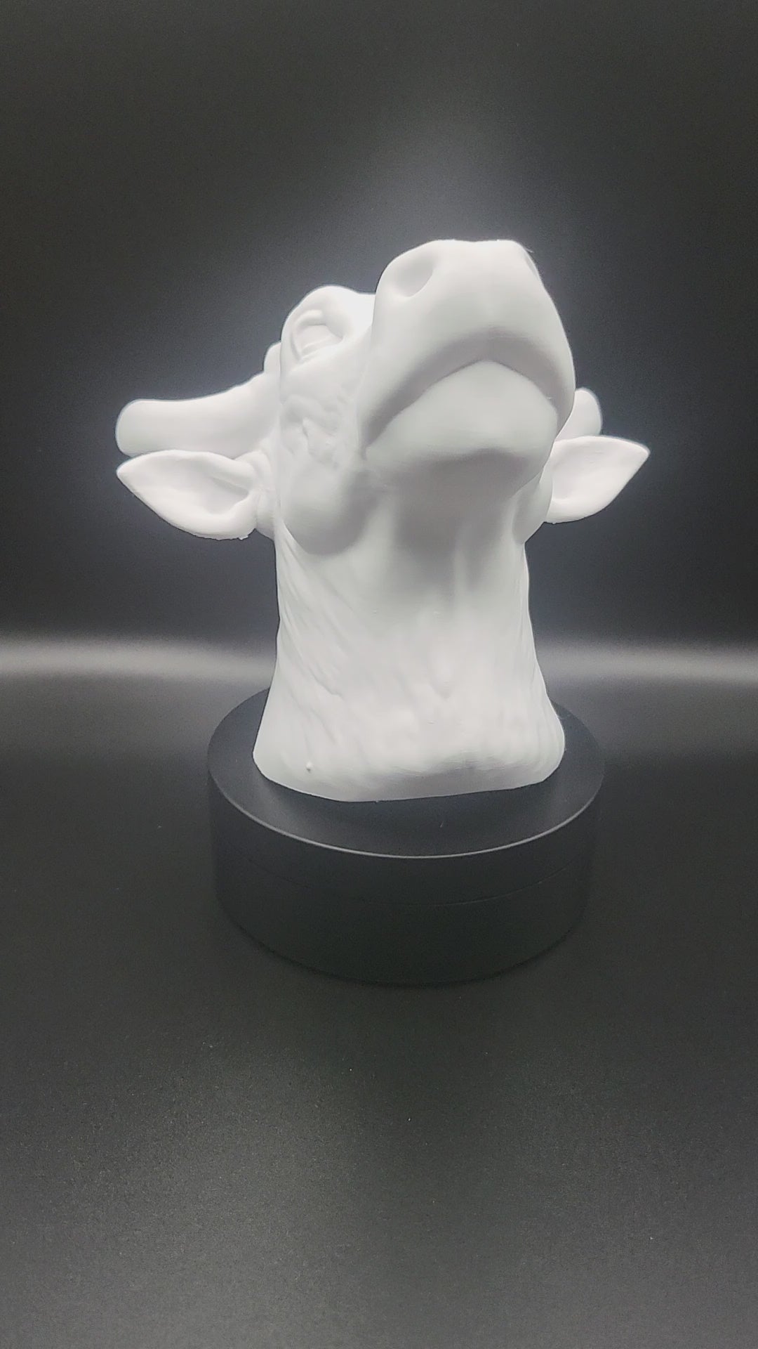 OX